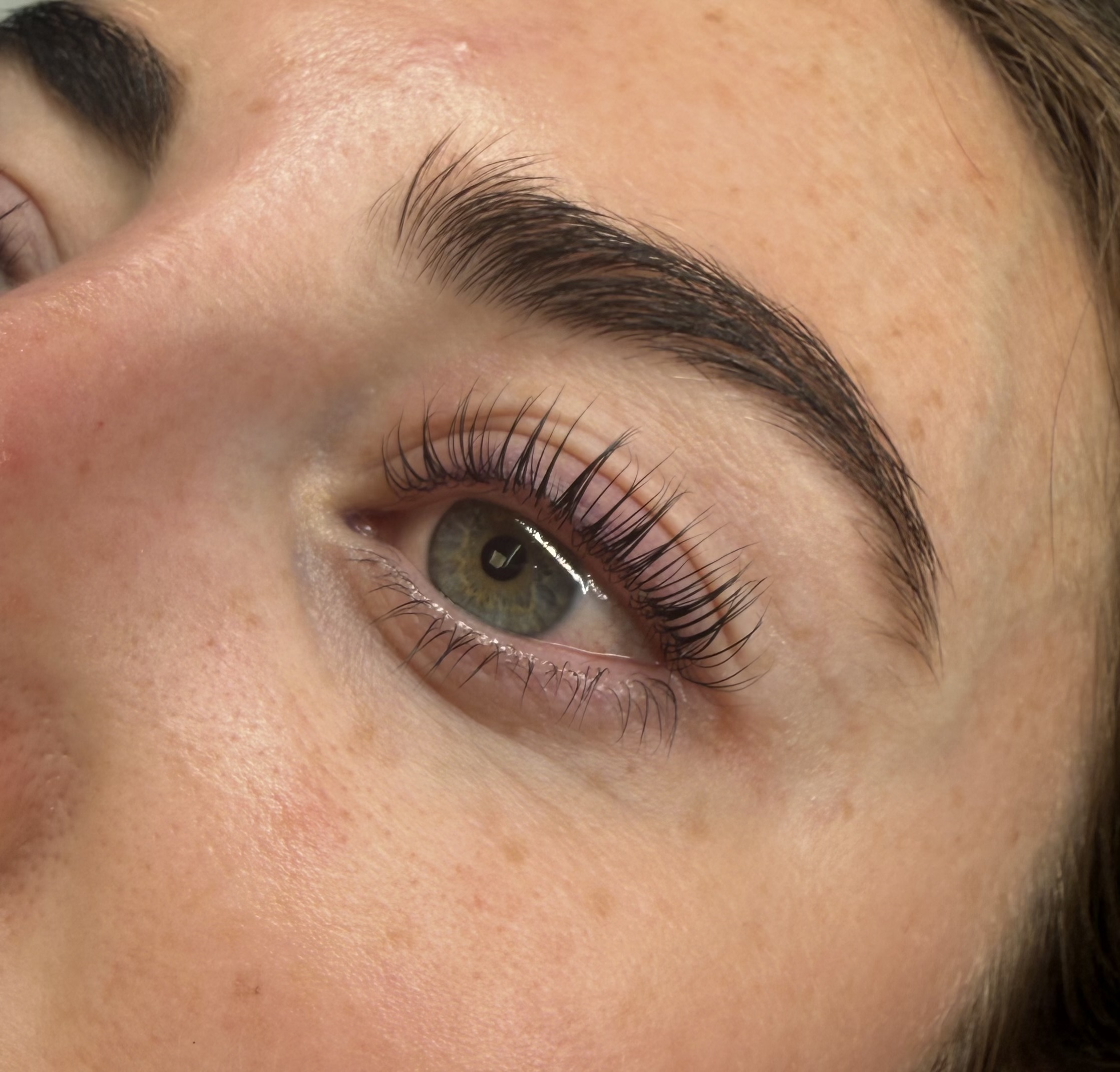 Lashes & Brows